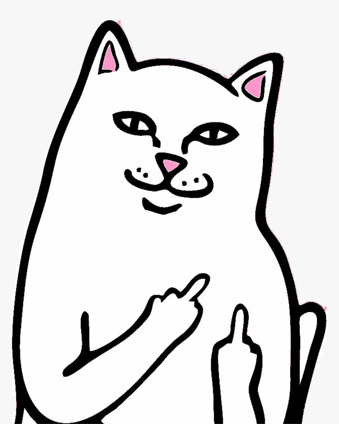 RIPNDIP
