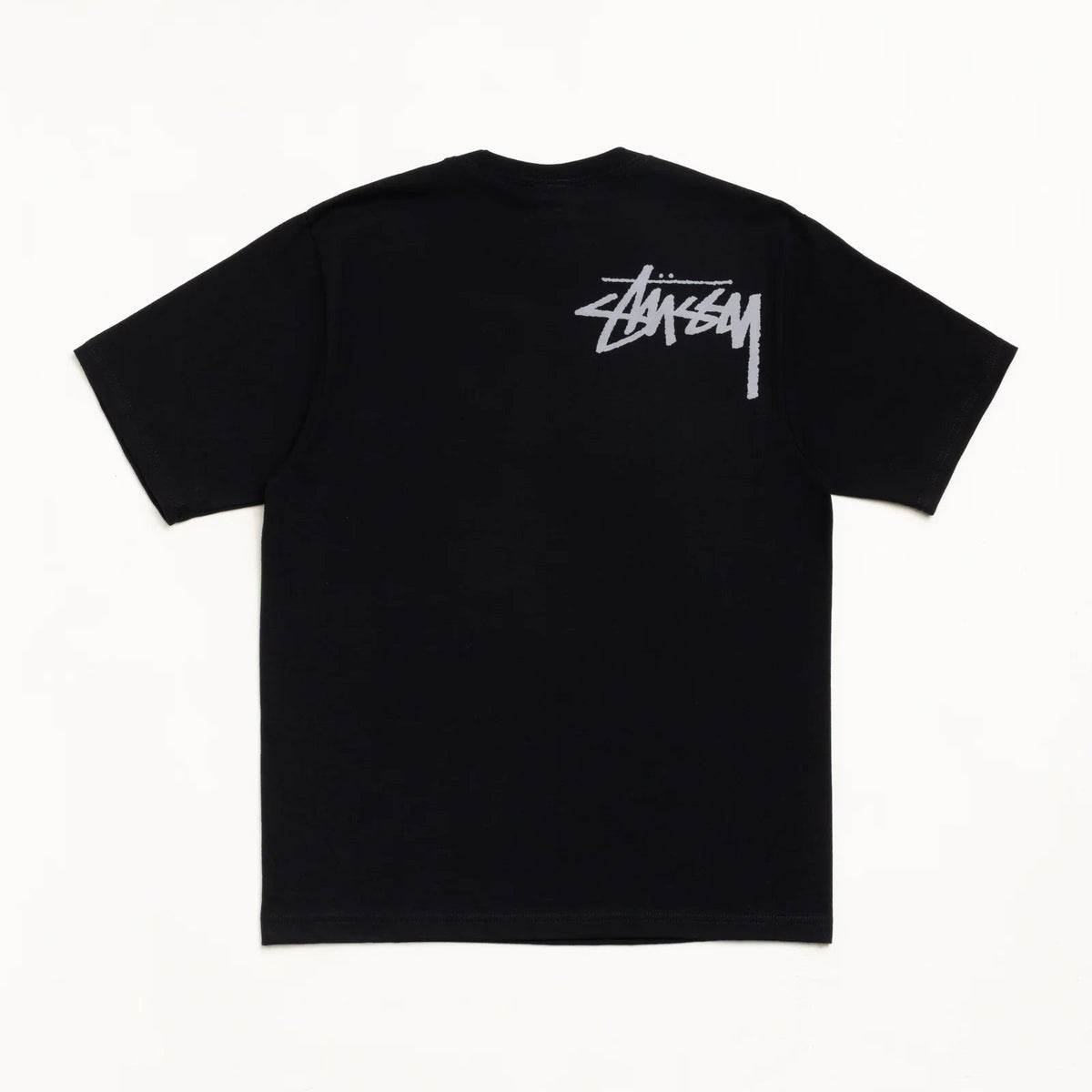 STUSSY DOUBLE VENUS TEE