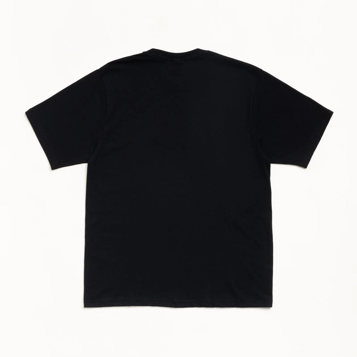 STUSSY CITRUS TEE