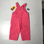 Carhartt CM9712 Kids Loose Fit Canvas Bib Overall Jumper