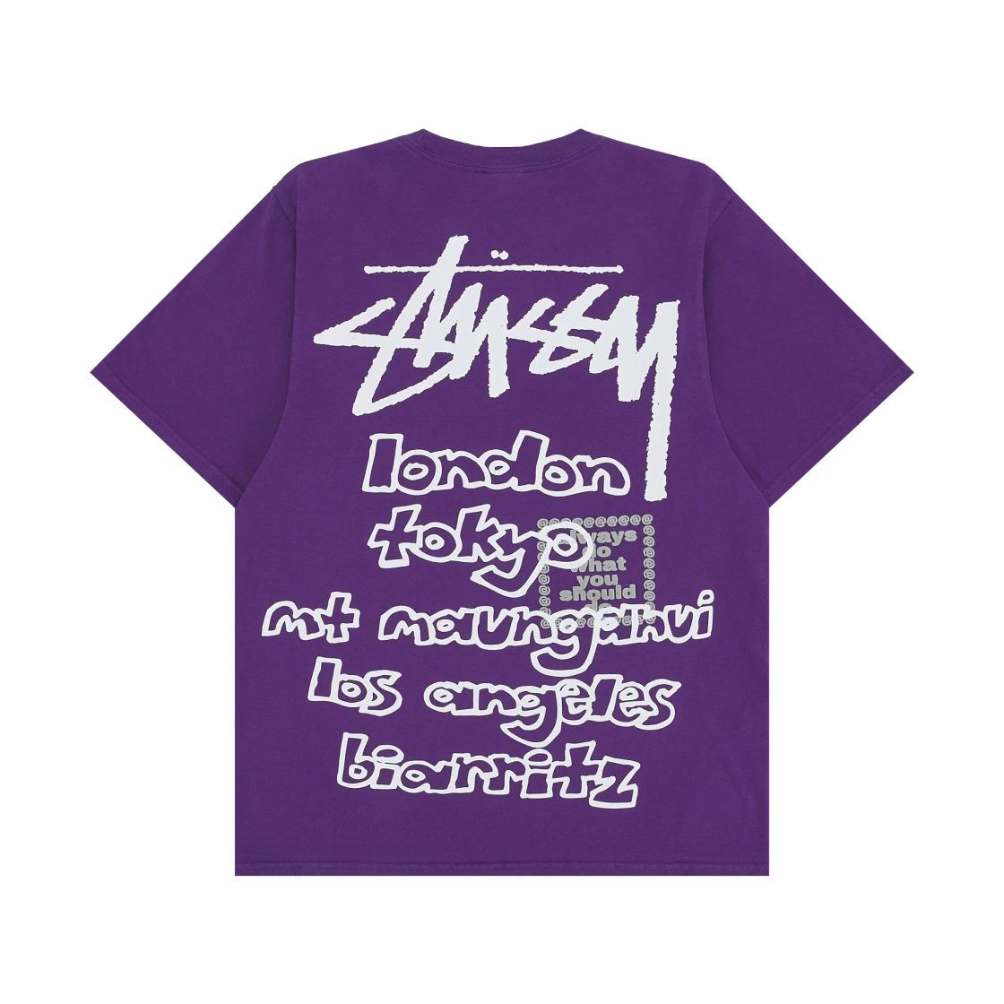 STUSSY & ALWAYS WORLD TOUR TEE