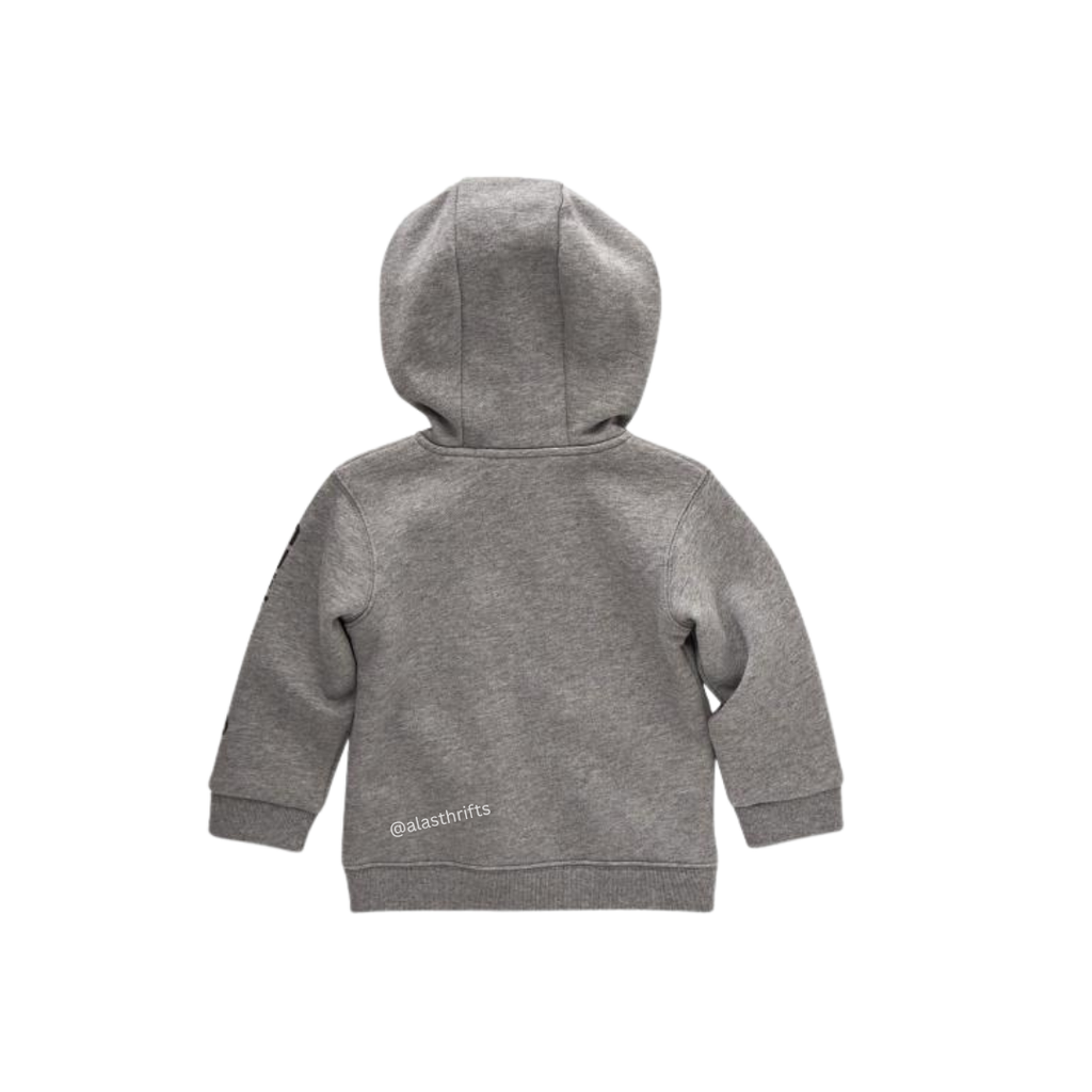 Carhartt Unisex Kids Long-Sleeve Full-Zip Hooded Graphic Sweatshirt